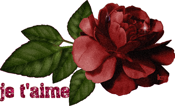 JE T'AIME